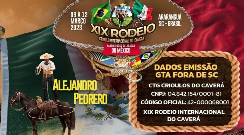 Cavalo de Rodeio: quais características esse animal deve ter?